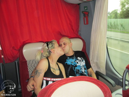 BUSDOMI152941
